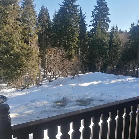 ин хоум комфорт *