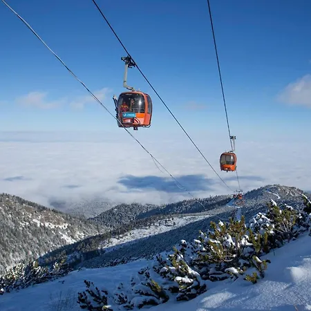 тес гарденс Borovets