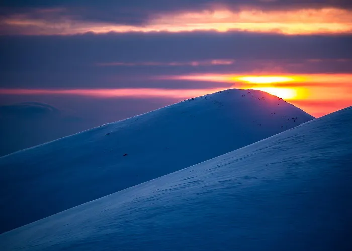 тес гарденс
